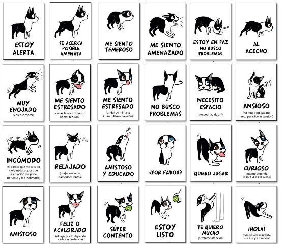 el lenguaje corporal y las senales de calma en el perro 5