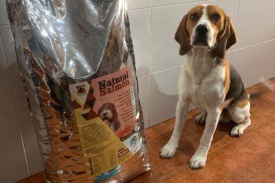 el rol del perro como carnivoro facultativo