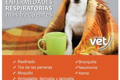 enfermedades respiratorias en perros