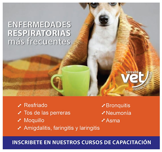 enfermedades respiratorias en perros