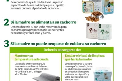 es necesario cuidar a los cachorros recien nacidos