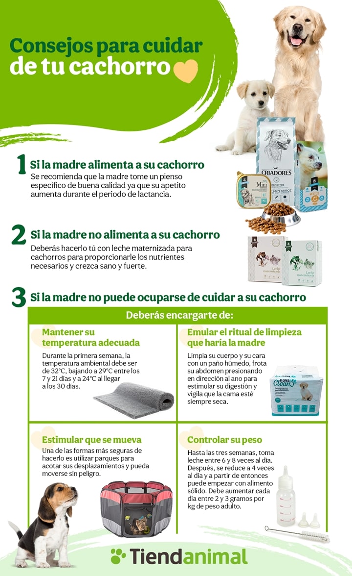es necesario cuidar a los cachorros recien nacidos
