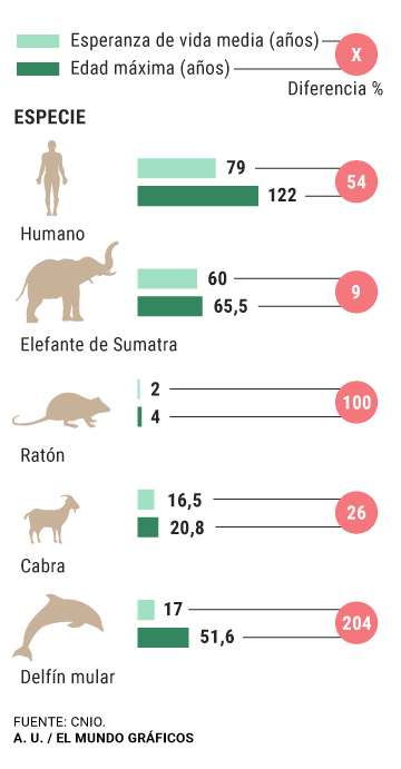 esperanza de vida en tortugas terrestres y marinas