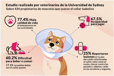 evitar lesiones con el collar isabelino