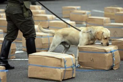 formacion de perros detectores de droga