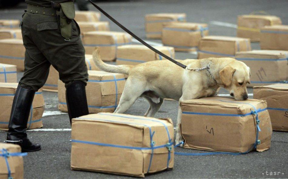 formacion de perros detectores de droga