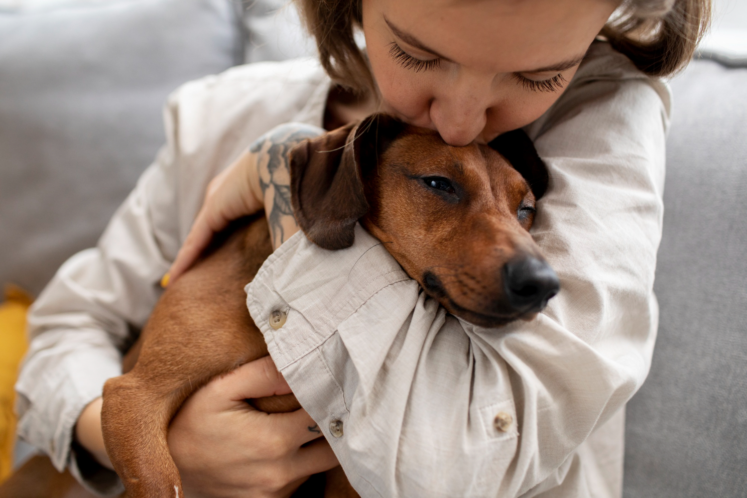 las expresiones faciales de los humanos son aprendidas por los perros