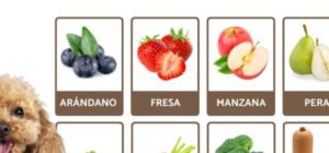 las frutas y verduras para perros