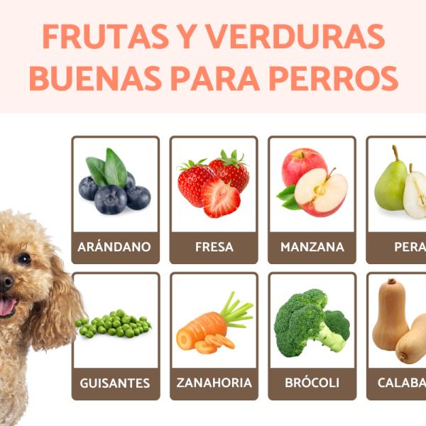 las frutas y verduras para perros
