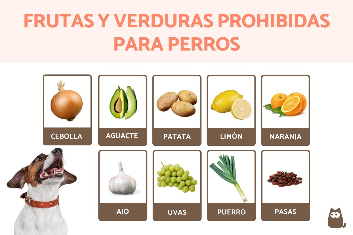 las frutas y verduras que no son adecuadas para perros