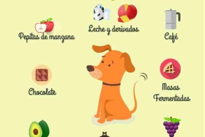 lista de alimentos peligrosos para perros