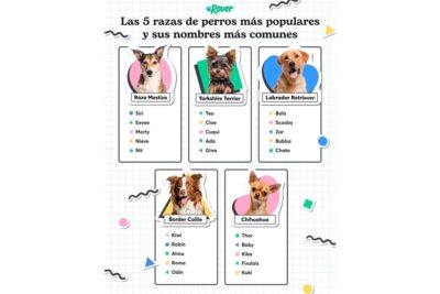 los nombres mas destacados en el ambito veterinario espanol en 2022