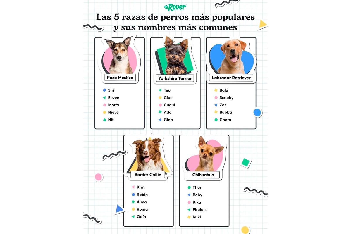 los nombres mas destacados en el ambito veterinario espanol en 2022