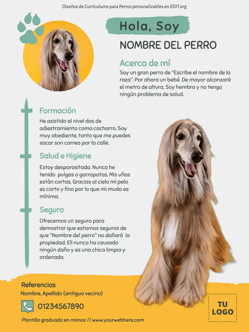 nombre una experiencia de aprendizaje para perros