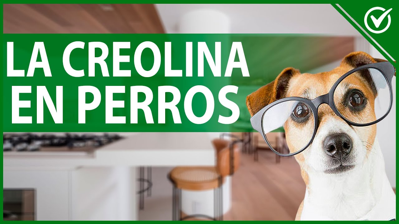 para que sirve la creolina en los perros