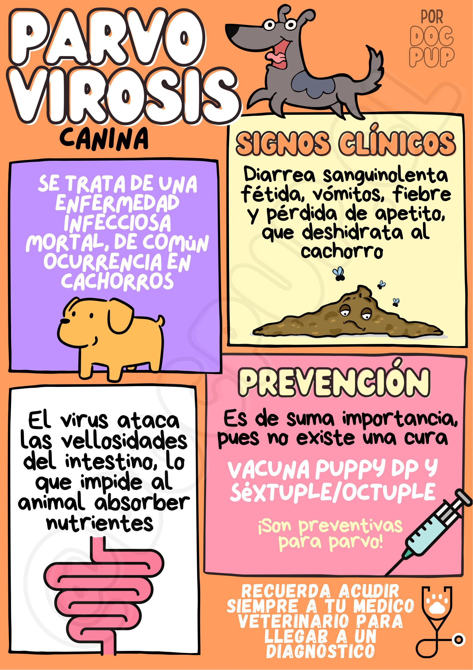 parvovirosis canina enfermedad viral en los cachorros