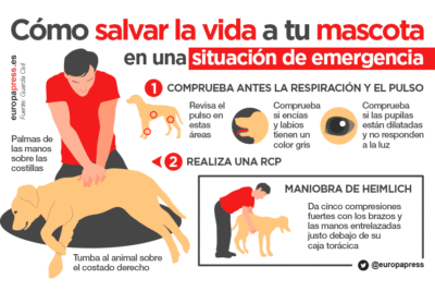 plan de contingencia para la clinica veterinaria