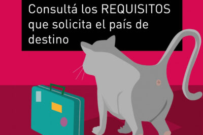 requisitos sanitarios para ingresar con una mascota a argentina