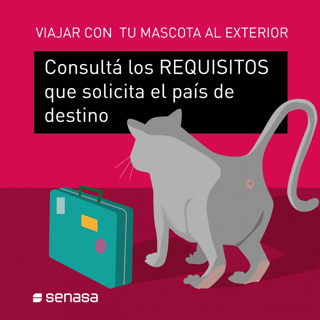 requisitos sanitarios para ingresar con una mascota a argentina