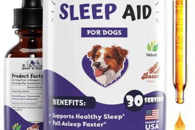 sleep solutions for puppies ensuring a good nights sleep