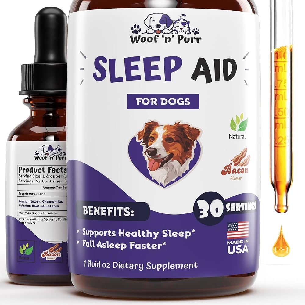 sleep solutions for puppies ensuring a good nights sleep