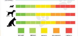 temperatura corporal del perro