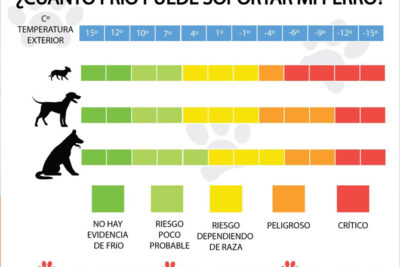 temperatura corporal del perro