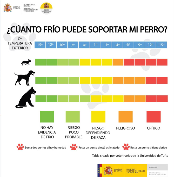 temperatura corporal del perro