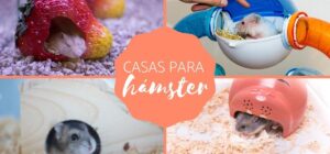 tipos y opciones caseras para hamsteres