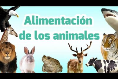 un mundo de animales que comen u