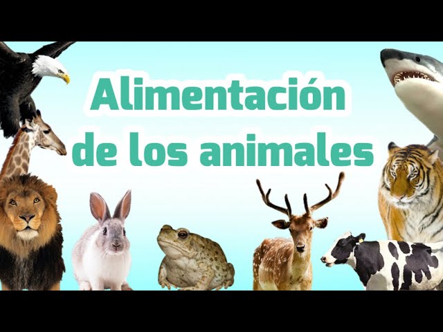 un mundo de animales que comen u